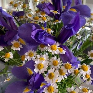 Meet your Posher, Lorena